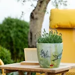 Fabiola - Life Mit Balkon Und Terrasse Apartment *